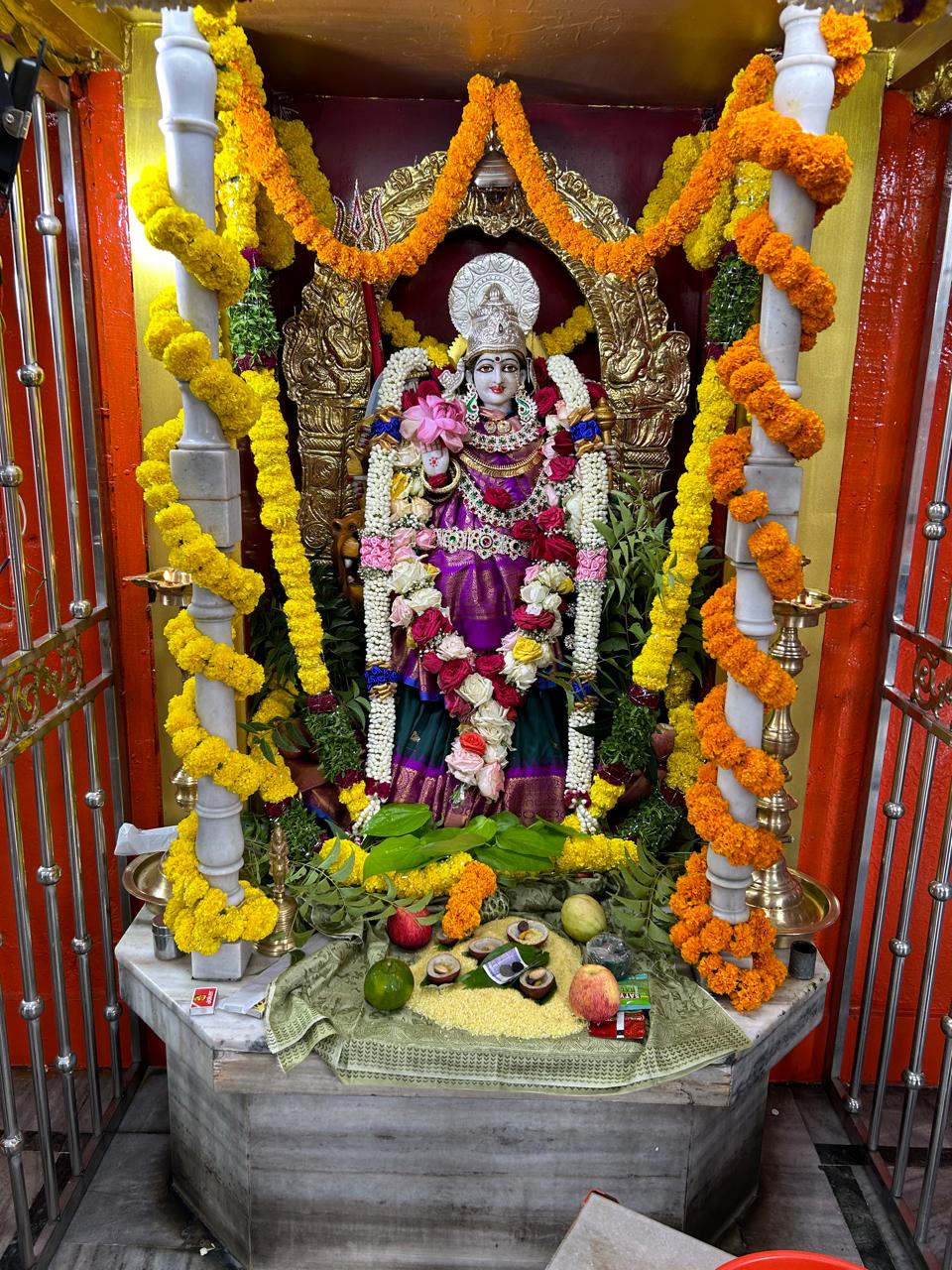 Mool Shanti Puja